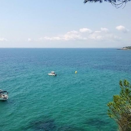 Puravida III Apartman L'Ametlla de Mar Kültér fotó