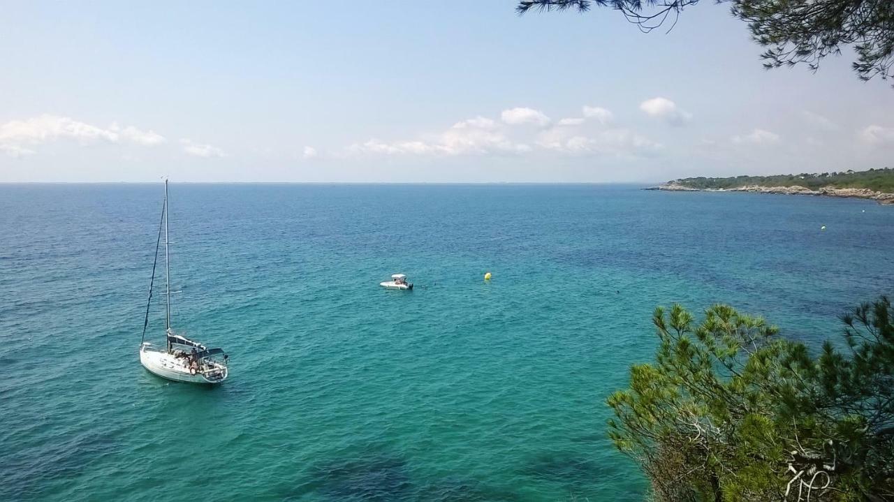 Puravida III Apartman L'Ametlla de Mar Kültér fotó